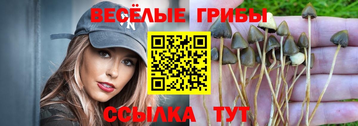 Галлюциногенные грибы GOLDEN TEACHER Ростов Великий